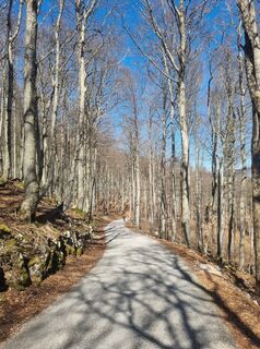 Фото с сайта Grizli во время экскурсии