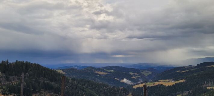 Fotografia z passiflora71 na trase