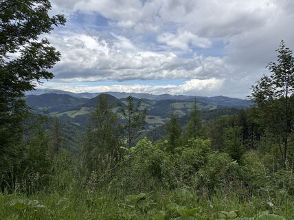 Photo de Reinhard Frewein le long du parcours