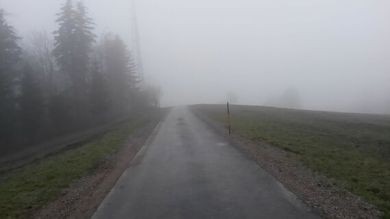 Aufstieg Hochberg, Richtung Forsthof