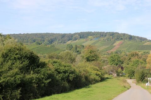 Auf dem Krebenweg