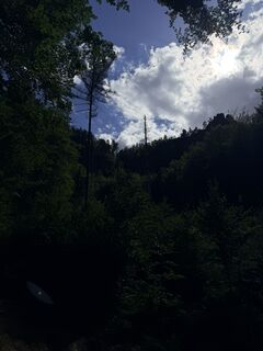 Foto von Paul entlang der Tour
