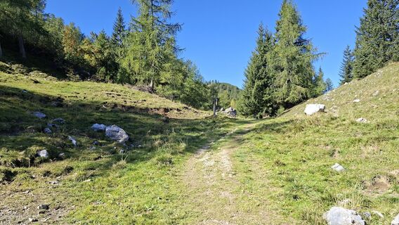 Fotografija s spletne strani Marc-Oliver Speer na poti