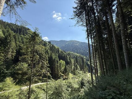 Photo de Nicola Ronchetti le long du parcours
