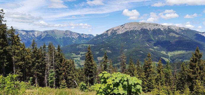 Foto von Gessi entlang der Tour