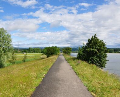 birdlife-naturzentrum-klingnauer-stausee-linkes-seeufer