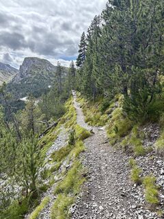 Photo from madr along the tour