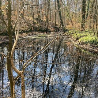 Otterbachbruch Wanderweg