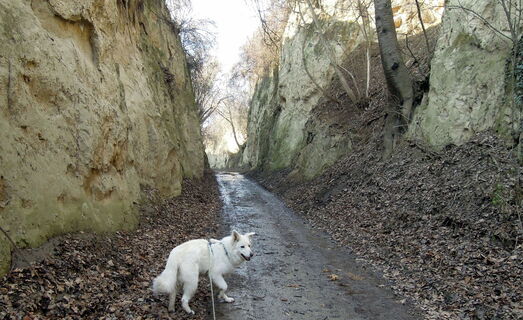 Durchquerung des LOAMSTÜCKLs