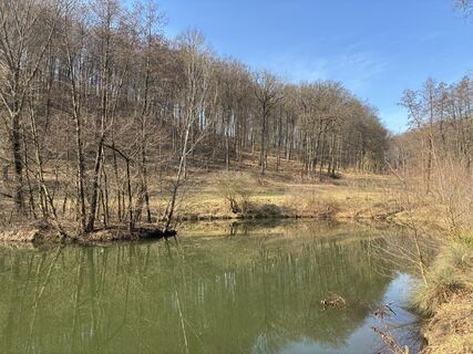 Photo de Martin1967 le long du parcours