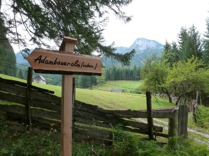 Blick zum Gr. Geiger