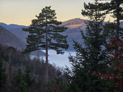 Photo de TwilightTea le long du parcours