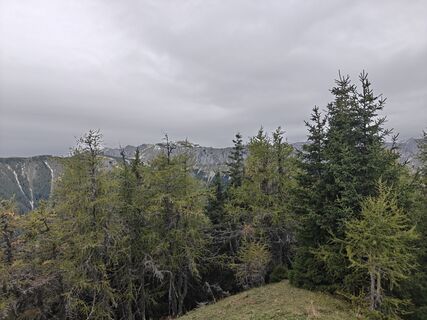 Photo from Sam Tmoat along the tour