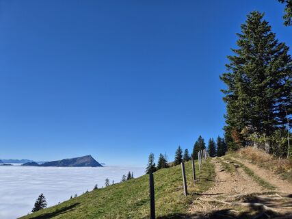 Photo de Markus Christen le long du parcours