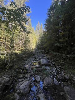 Fotografija s spletne strani Patrick Marinkovic na poti