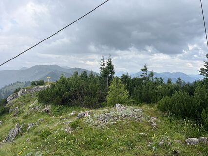Fotografie de la Helmut Wieseneder de-a lungul turului