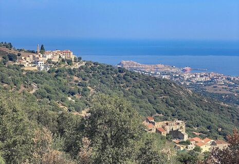 Occiglioni