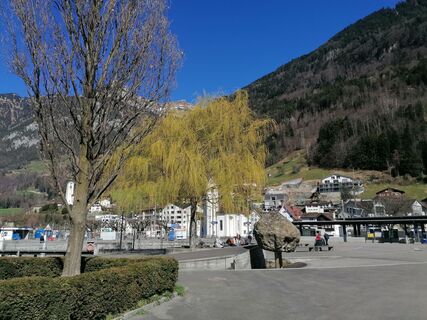 Photo de luyyy le long du parcours