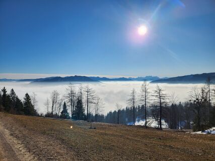 Foto von Petra Riegler entlang der Tour