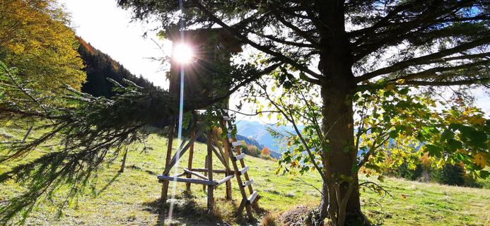 Foto von Klaus Lehner entlang der Tour