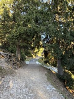 Foto von Theresa Marte entlang der Tour