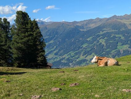 Foto von Hanna 34 entlang der Tour
