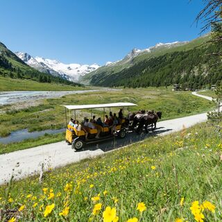 Kutschenfahrt ins Val Roseg