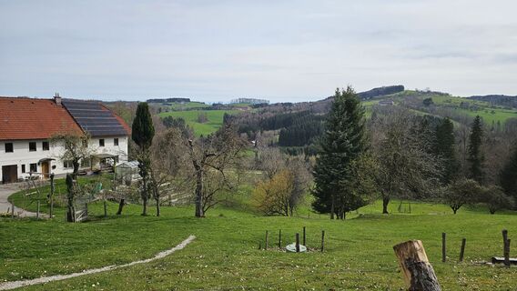 Foto de Grieshofer Gerlinde a lo largo del recorrido