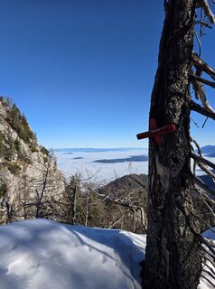 Foto von Florian Dürnegger entlang der Tour