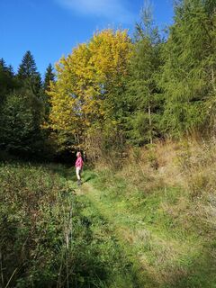 der Herbst grüßt