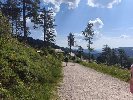 Fotografija s spletne strani An87ka88 na poti