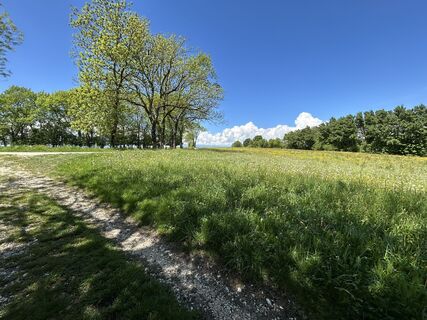 Zdjęcie z Andi Felix wzdłuż trasy