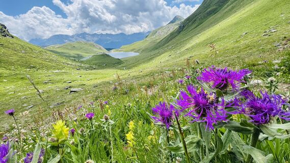 Fotó a Jean Claude Guidi honlapról a túra során
