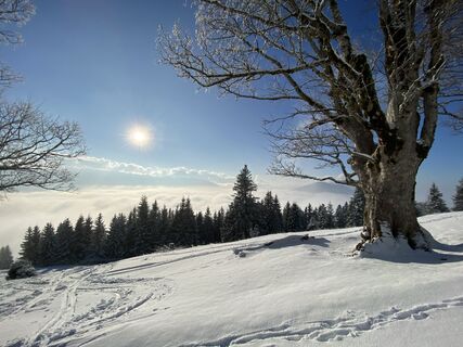 Foto von Joerg Reinhardt entlang der Tour