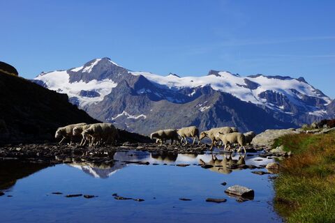 Majestätische Landschaften des Balkonwegs Carro, Bonneval sur Arc