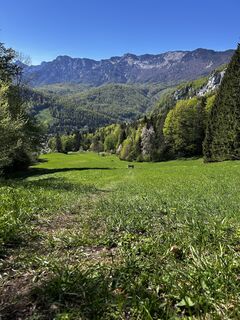 Foto de Rowena Raubach a lo largo del recorrido