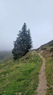 Foto von Daniela Hackl entlang der Tour