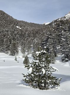 Foto van FABIO MAGLIANO langs de tour