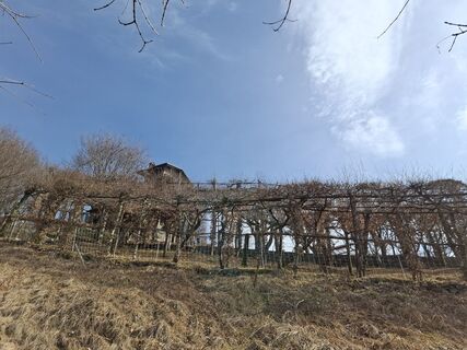 Foto von Edi Chi entlang der Tour
