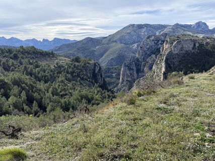 Photo de Heribert Hofbauer le long du parcours