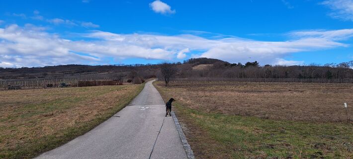 Photo de Dana Polak le long du parcours