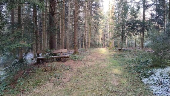 Fotografia z lkusmir na trase