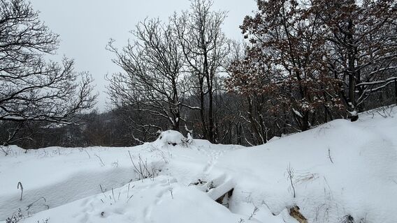 Foto de Balázs Lengyel 1 a lo largo del recorrido
