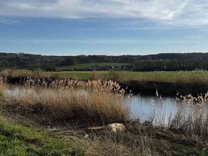 Fotografia z Schaali na trase