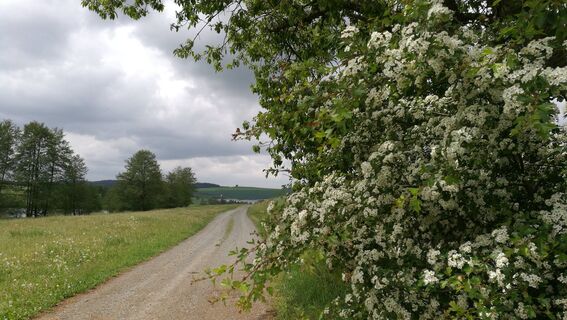 Von Seubtendorf zur Kiebitzenburg
