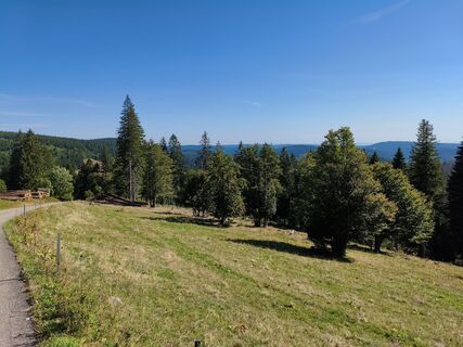 Hinterzarten, Regierungsbezirk Freiburg/Deutschland