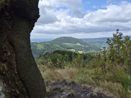 Zdjęcie z Wollomator wzdłuż trasy