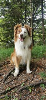 Foto von Klaus Lehner entlang der Tour