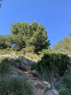 Photo de Karl 6String le long du parcours