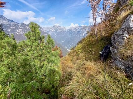 Фото с сайта pat59a60 во время экскурсии
